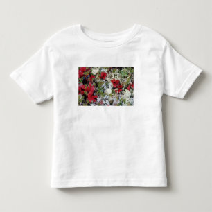 T-shirt Pour Les Tous Petits Alaska, Parc national Denali, la toundra arctique