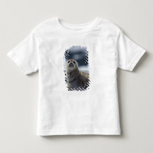 T-shirt Pour Les Tous Petits Alaska, région sud-est Phoque commun sur glace