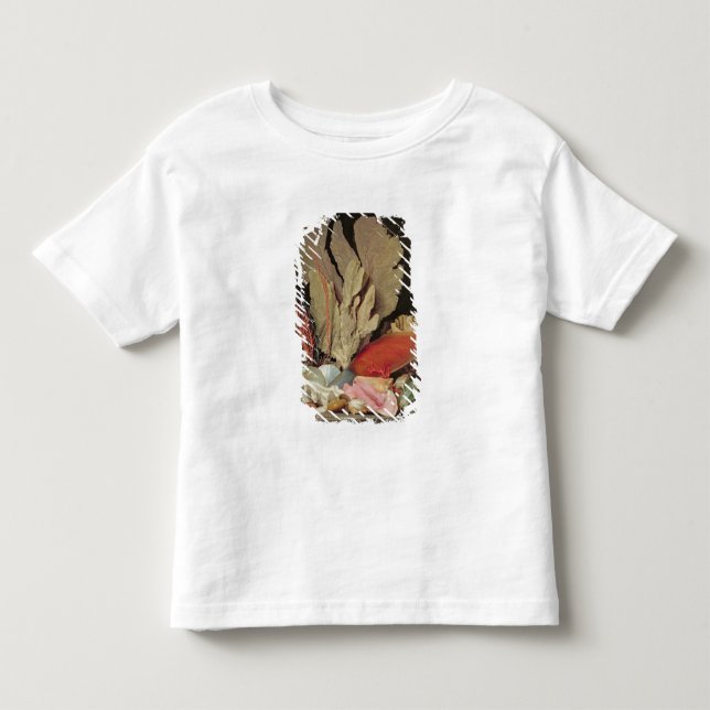 T-shirt Pour Les Tous Petits Algue, Lithophytes et coquillages (Devant)