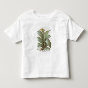 T-shirt Pour Les Tous Petits Aloès américain : Aloès americana, du 'Hortus E