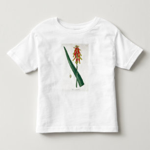T-shirt Pour Les Tous Petits Aloès de "Phytographie Medicale" par Joseph Roque