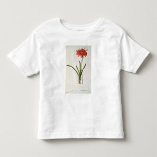 T-shirt Pour Les Tous Petits Amaryllis Curvifolia, 1809, du ` Les