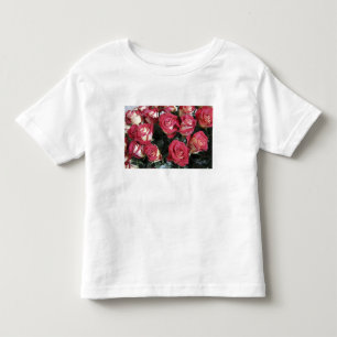T-shirt Pour Les Tous Petits aménagement Sweetness Rose à Hacienda Compania