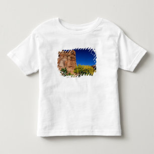 T-shirt Pour Les Tous Petits Amérique du Nord, États-Unis, Arizona, Indien Nava