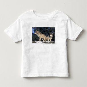 T-shirt Pour Les Tous Petits Amérique du Nord, États-Unis, Minnesota. Loup Cani