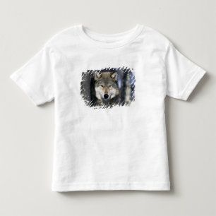 T-shirt Pour Les Tous Petits Amérique du Nord, États-Unis, Minnesota. Loup Cani