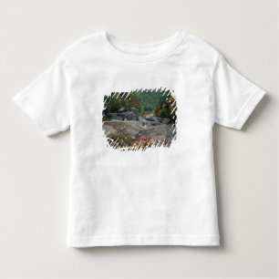 T-shirt Pour Les Tous Petits Amérique du Nord, États-Unis, NH, Fall folios in N