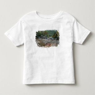 T-shirt Pour Les Tous Petits Amérique du Nord, États-Unis, NH, Feuillage d'auto