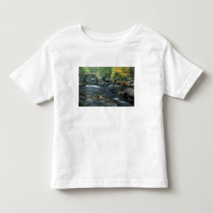 T-shirt Pour Les Tous Petits Amérique du Nord, États-Unis, NH, Le pont de Pac