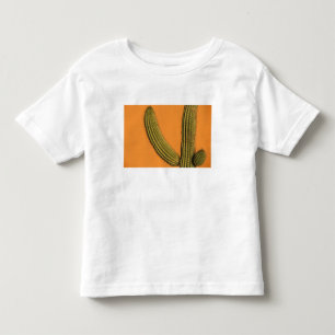 T-shirt Pour Les Tous Petits Amérique du Nord, Mexique, Basse-Californie, Cabo