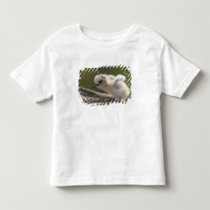 T-shirt Pour Les Tous Petits Amérique du Nord, Northwestern Hawaiian Islands, 2