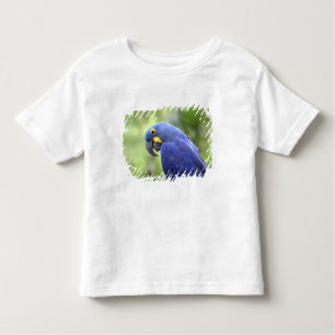 T-shirt Pour Les Tous Petits Amérique du Sud, Brésil, Pantanal