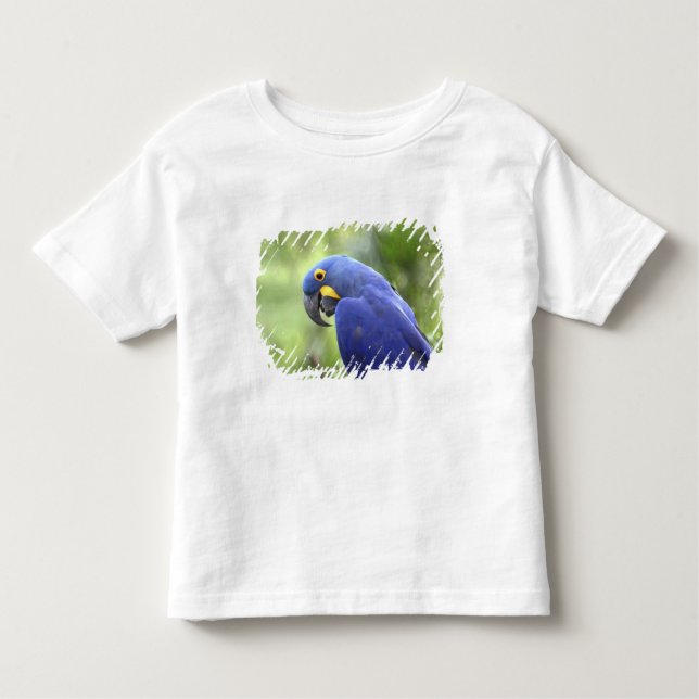 T-shirt Pour Les Tous Petits Amérique du Sud, Brésil, Pantanal (Devant)