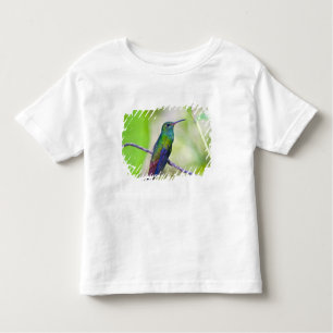 T-shirt Pour Les Tous Petits Amérique du Sud, Costa Rica, Sarapiqui, La Selva