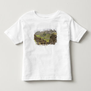 T-shirt Pour Les Tous Petits Amériques, Pérou, Machu PIcchu. L'ancien