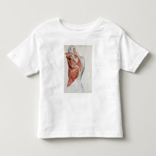 T-shirt Pour Les Tous Petits Anatomie humaine ; Muscles du torse et de l'épaul