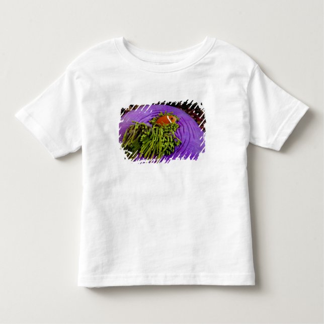 T-shirt Pour Les Tous Petits Anemonefish et grande anémone (Devant)