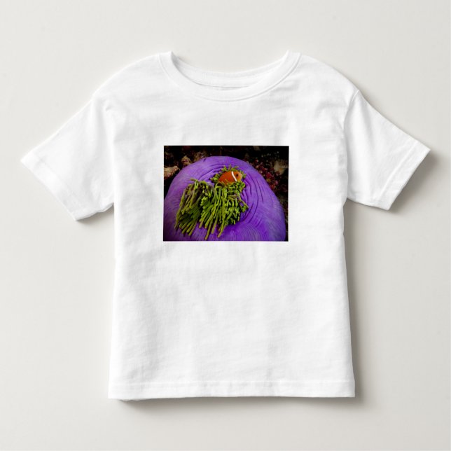 T-shirt Pour Les Tous Petits Anemonefish et grande anémone (Devant)