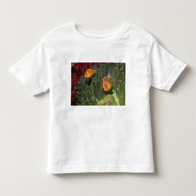 T-shirt Pour Les Tous Petits Anemonefish rose dans l'actinie de Magnificant (Devant)