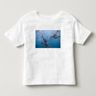 T-shirt Pour Les Tous Petits Antarctique, île de Géorgie du Sud (Royaume-Uni),