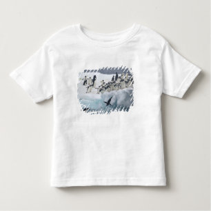 T-shirt Pour Les Tous Petits Antarctique, île Paulet. Pingouins d'Adelie