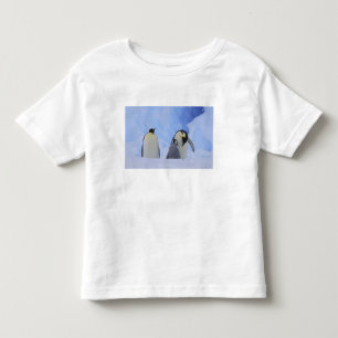 T-shirt Pour Les Tous Petits Antarctique. Manchots empereurs et poussin