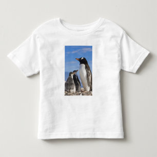 T-shirt Pour Les Tous Petits Antarctique, Neko Cove (port). Manchot gentoo 2
