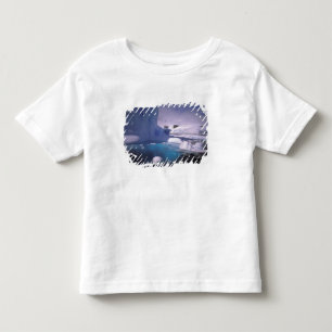 T-shirt Pour Les Tous Petits Antarctique. Paysages glaciaires de l'Antarctique