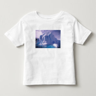 T-shirt Pour Les Tous Petits Antarctique. Paysages glaciaires de l'Antarctique