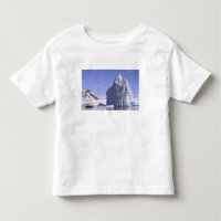 Antarctique, péninsule Antarctique. Zodiak et