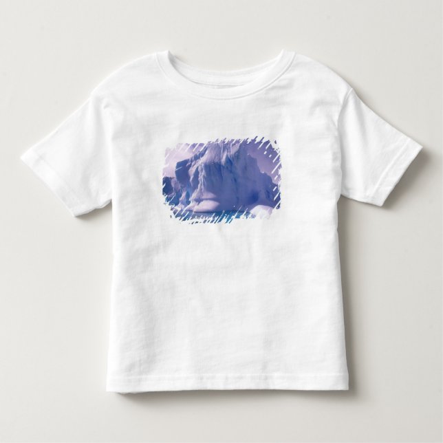 T-shirt Pour Les Tous Petits Antarctique. Sévices de l'Antarctique (Devant)