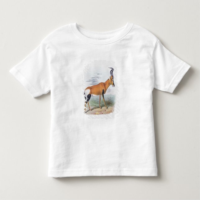 T-shirt Pour Les Tous Petits Antilope, "du livre des antilopes", (Devant)