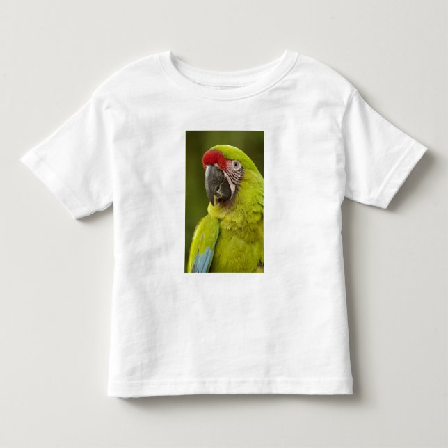 T-shirt Pour Les Tous Petits Ara militaire (Devant)