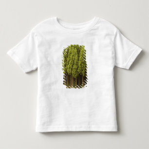 T-shirt Pour Les Tous Petits Arbres de cèdre de Koya Sugi