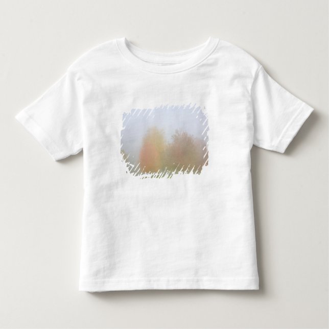 T-shirt Pour Les Tous Petits Arbres de chute enveloppés en brume (Devant)