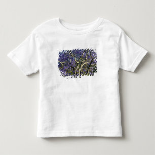 T-shirt Pour Les Tous Petits Arbres de jacaranda en fleurs dans le parc New Far