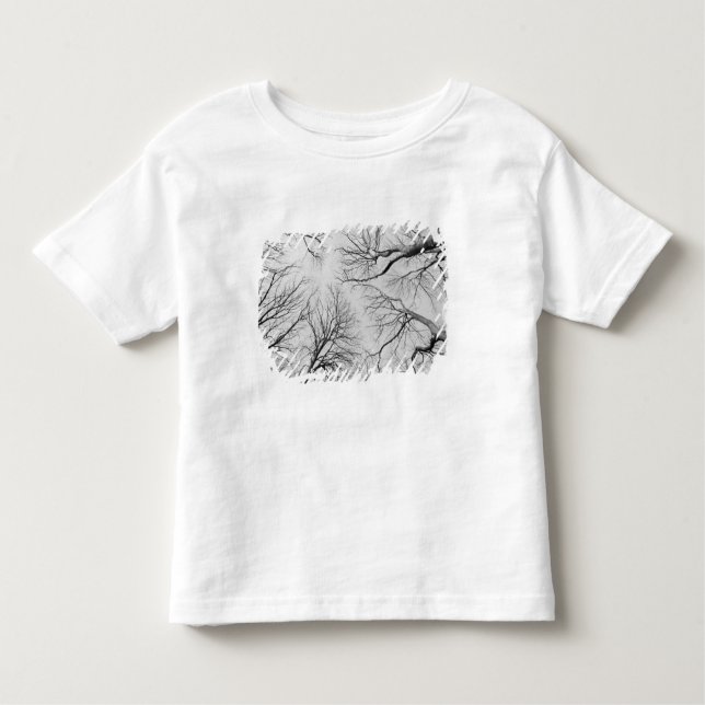 T-shirt Pour Les Tous Petits Arbres sans feuilles en bois de Thiepval (Devant)