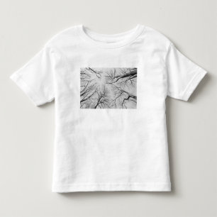 T-shirt Pour Les Tous Petits Arbres sans feuilles en bois de Thiepval