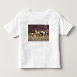 T-shirt Pour Les Tous Petits Arizona, Navajo réserve indienne, Chinle,