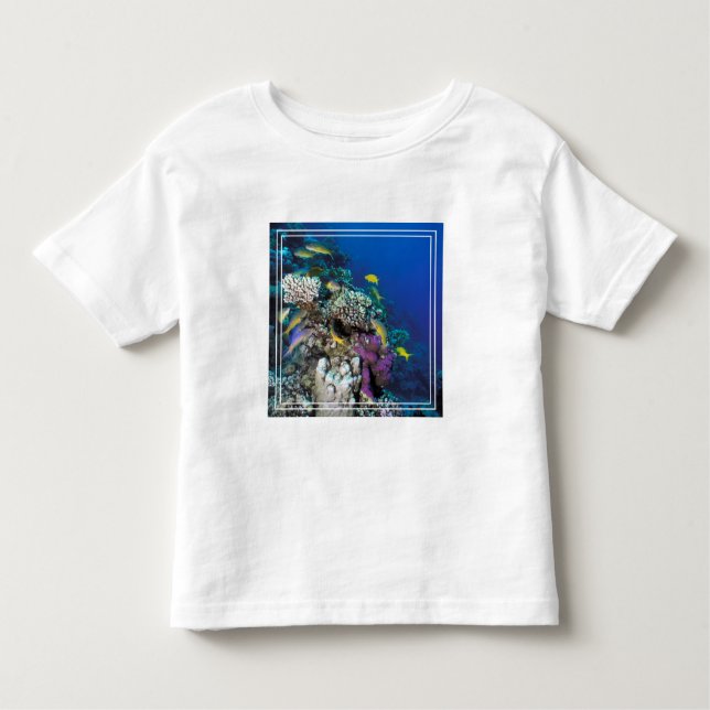 T-shirt Pour Les Tous Petits Around Small Coral (Devant)