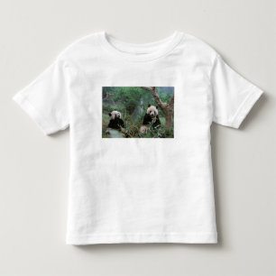 T-shirt Pour Les Tous Petits Asie, Chine, Chengdu. Sanctuaire de Panda géant