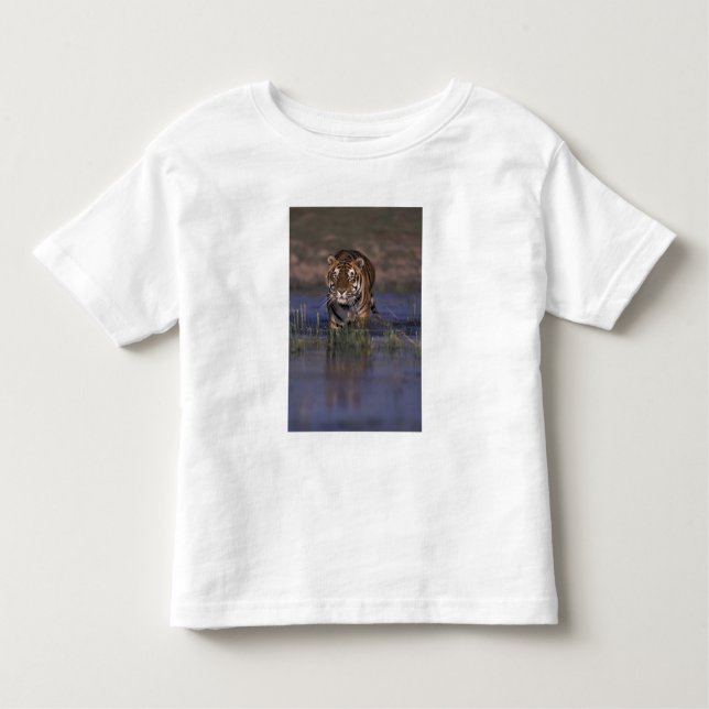 T-shirt Pour Les Tous Petits ASIE, Inde Tigre à travers l'eau (Devant)