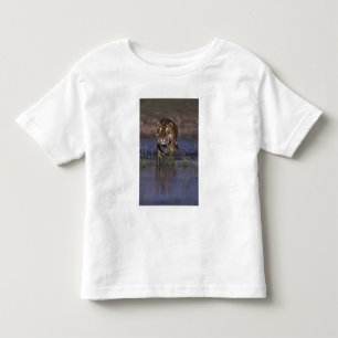 T-shirt Pour Les Tous Petits ASIE, Inde Tigre marchant dans l'eau