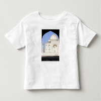 Asie, Inde, Uttar Pradesh, Agra. Le Taj 2