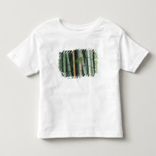 T-shirt Pour Les Tous Petits Asie, Japon, Kyoto, Arashiyama, Sagano, Bamboo