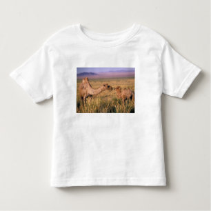 T-shirt Pour Les Tous Petits Asie, Mongolie, Désert de Gobi, Grand Gobi