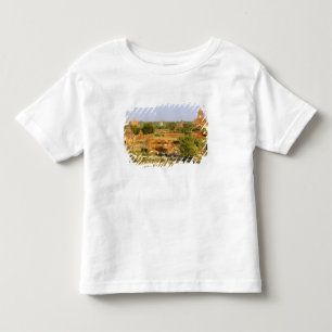 T-shirt Pour Les Tous Petits Asie, Myanmar (Birmanie), Bagan (Pagan). Des vache