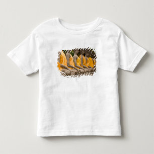 T-shirt Pour Les Tous Petits Asie, Thaïlande, Siam, Bouddhas à Ayutthaya