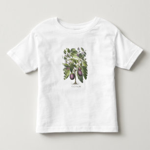 T-shirt Pour Les Tous Petits Aubergine : Pallido de fructu de Melanzana, du