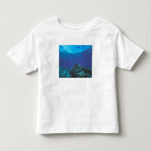 T-shirt Pour Les Tous Petits Australie, Grande Barrière de corail. Tourbillons